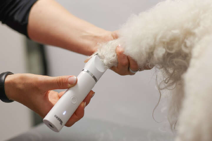 KERBL Akkuschermaschine Multitrimmer 4in1